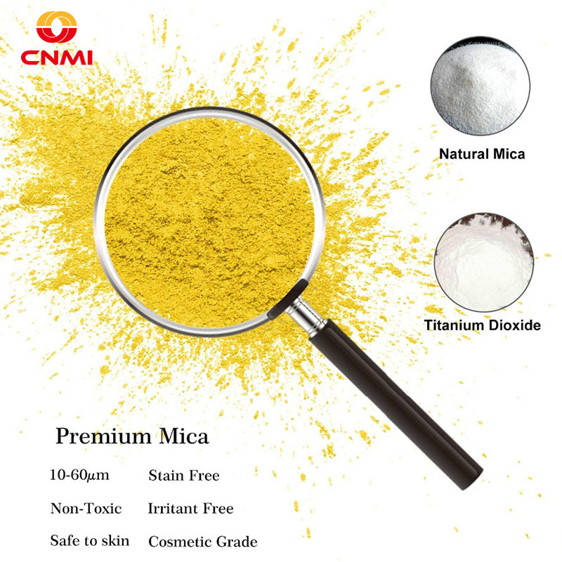 100g Royal Gold Mica Powder Pe - Resin Pigment Set review and price