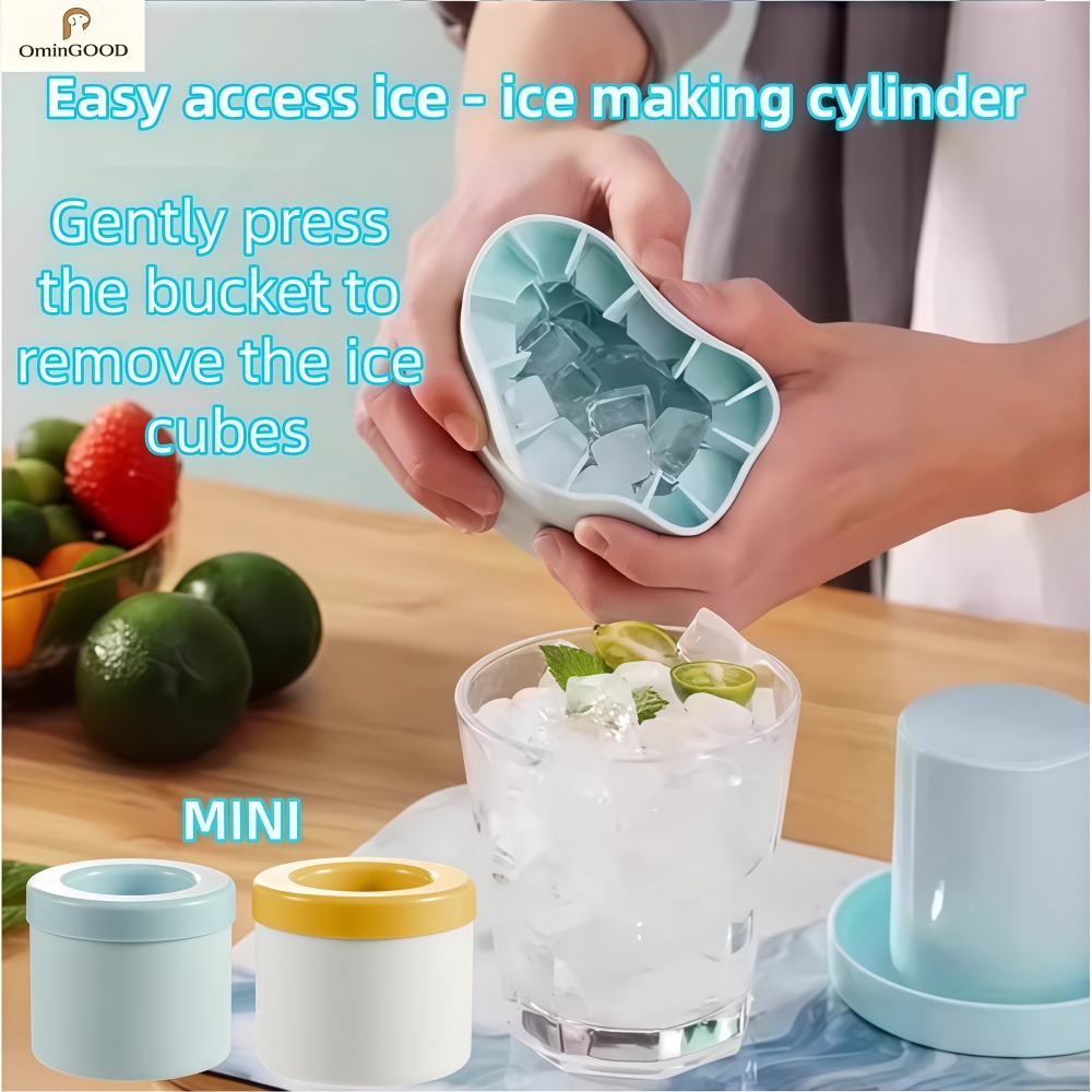 NEW1-6pcs Mini Food Grade Sili - Silicone Mold Tray review and price