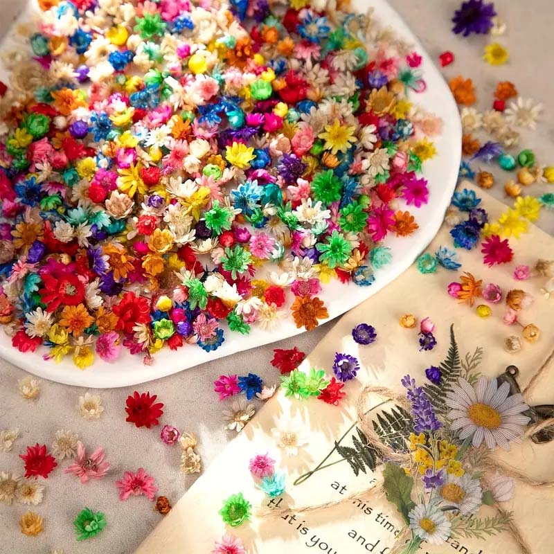 Mixed Colorful Flower for Wax  - Resin Craft Ideas review and price