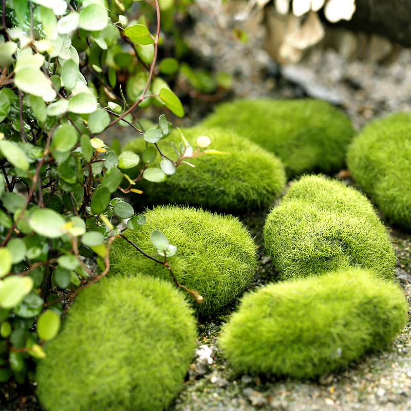 Green Artificial Grass Foam Mo - Terrarium Moss Art review and price