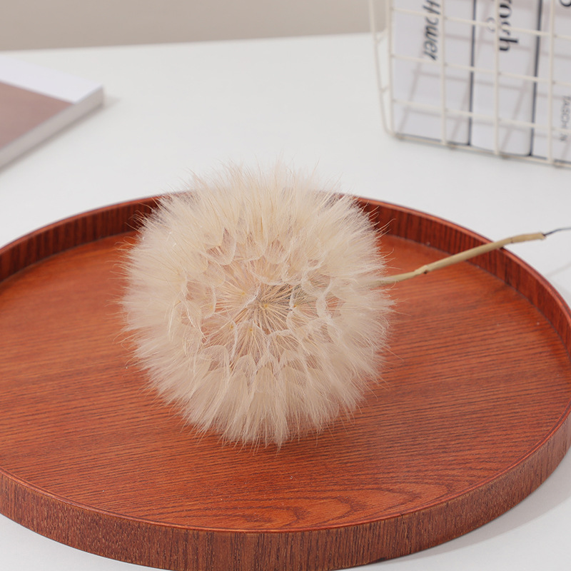 Preserved Dandelion DIY Epoxy  - Crafting Resin review and price