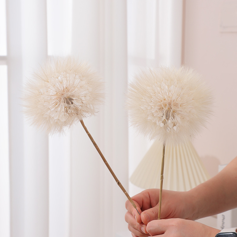 Preserved Dandelion DIY Epoxy  - Crafting Resin review and price