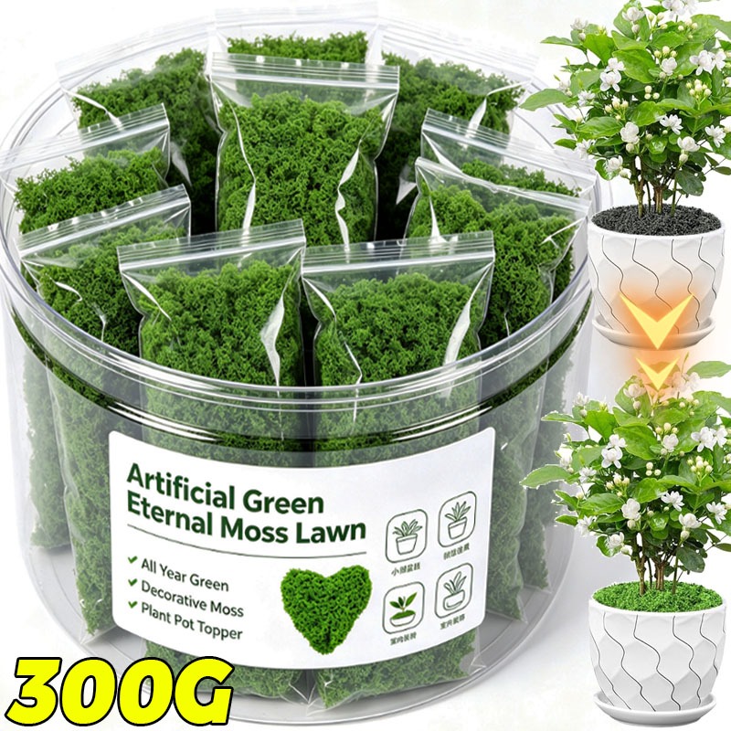 Artificial Green Plants Eterna - Terrarium Moss Art review and price